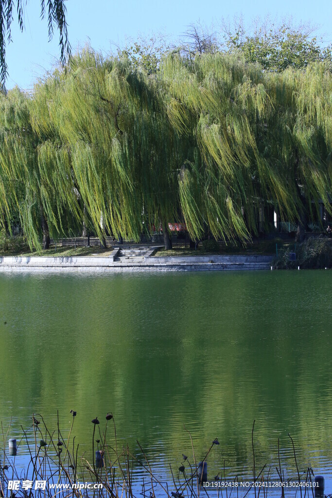 公园风景 