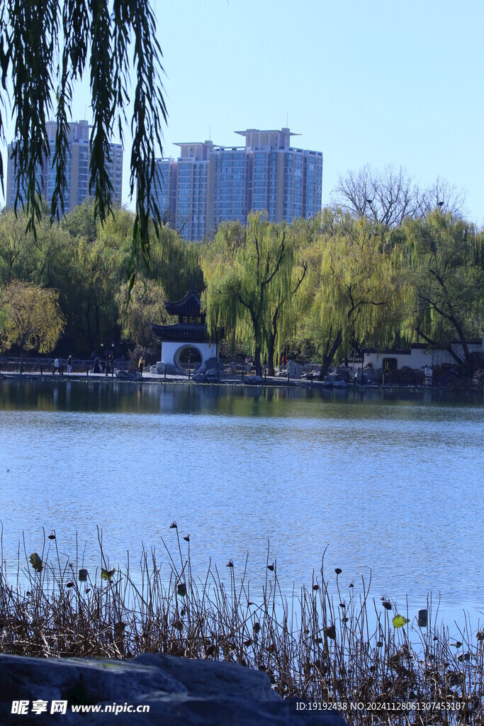公园风景  