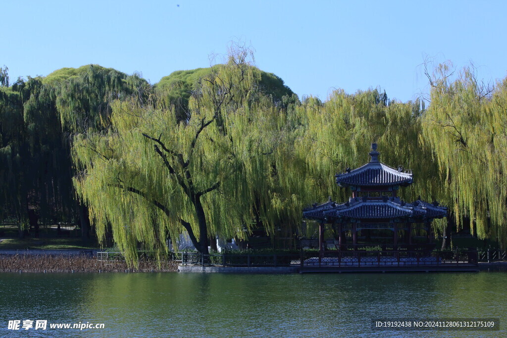 公园风景 
