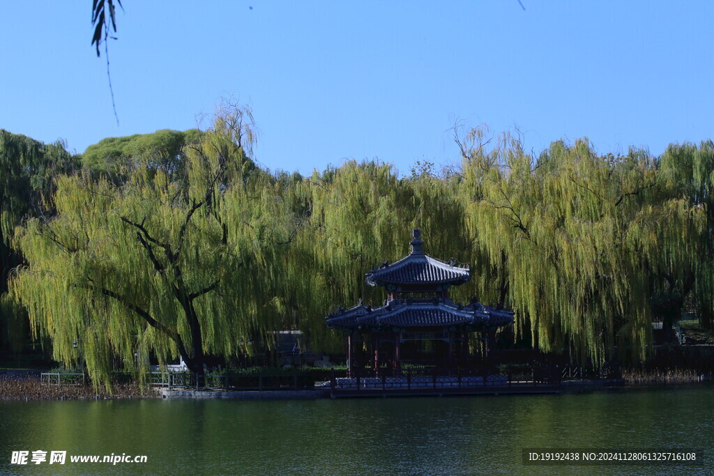 公园风景  