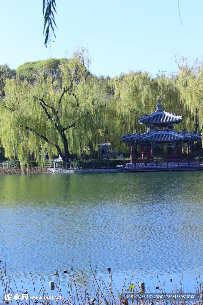 公园风景 