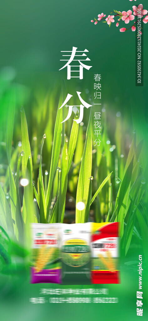 春分