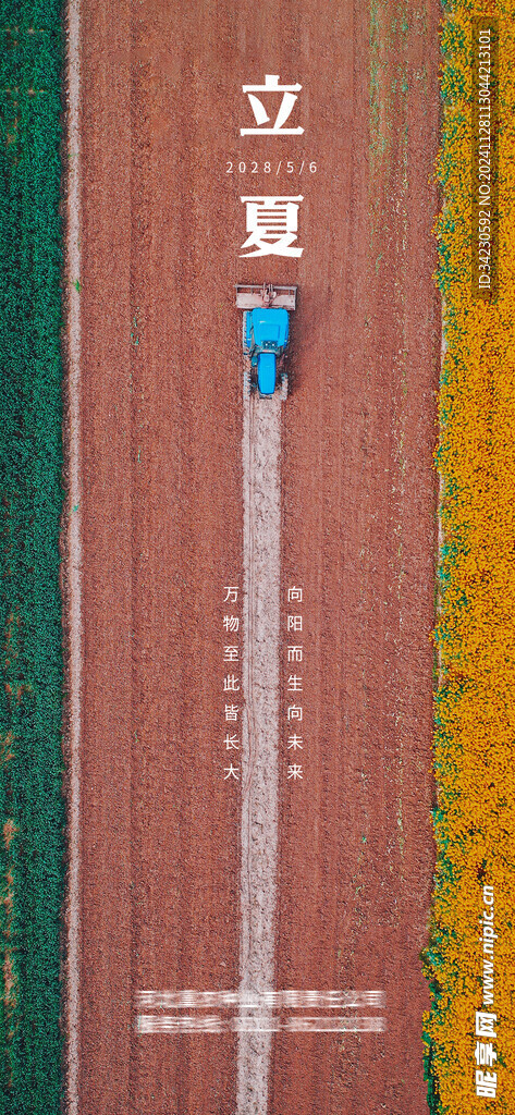 立夏