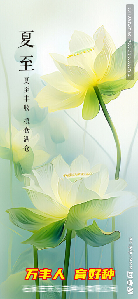 夏至