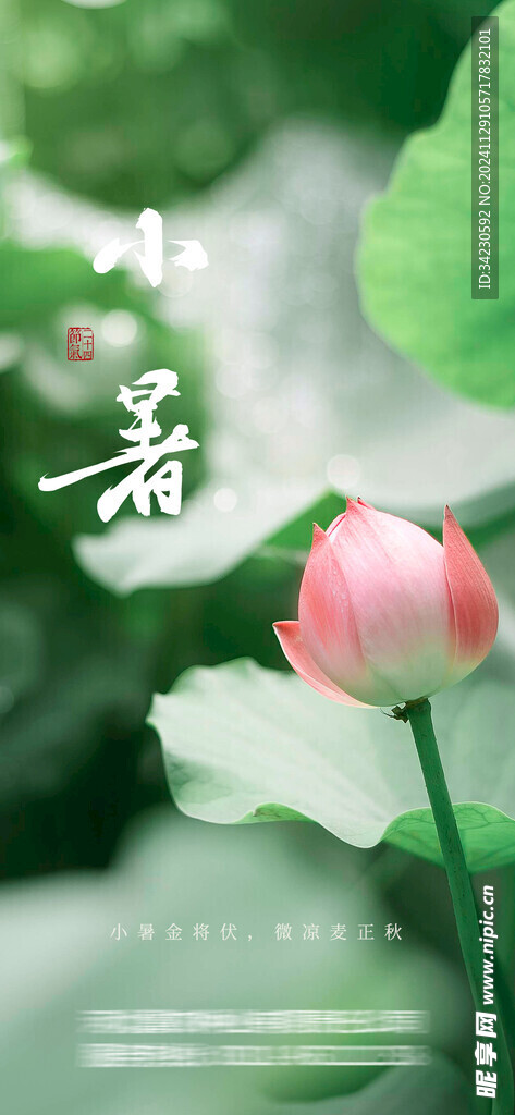 小暑