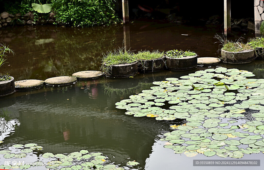 秋天荷塘的清幽意境