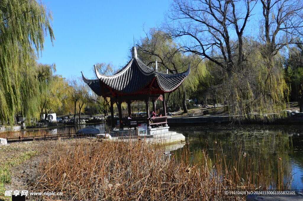 公园风景 
