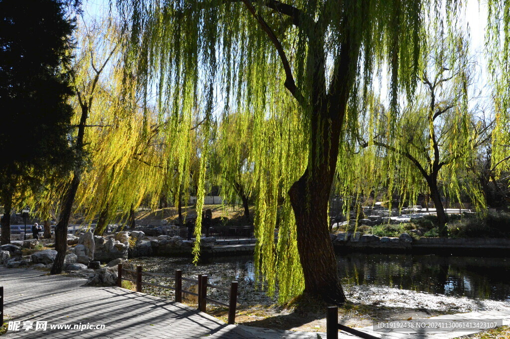 公园风景  