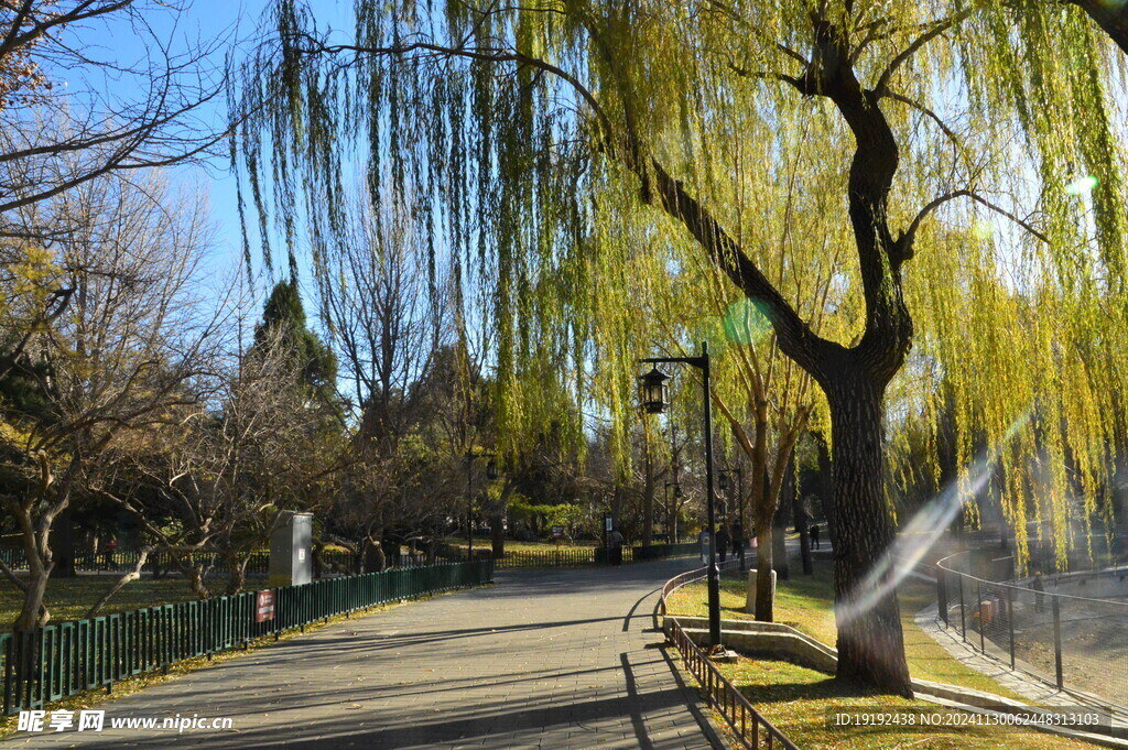 公园风景  
