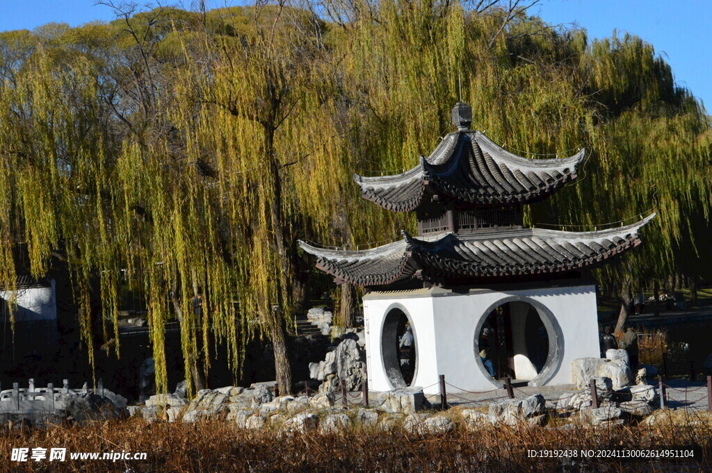 公园风景  