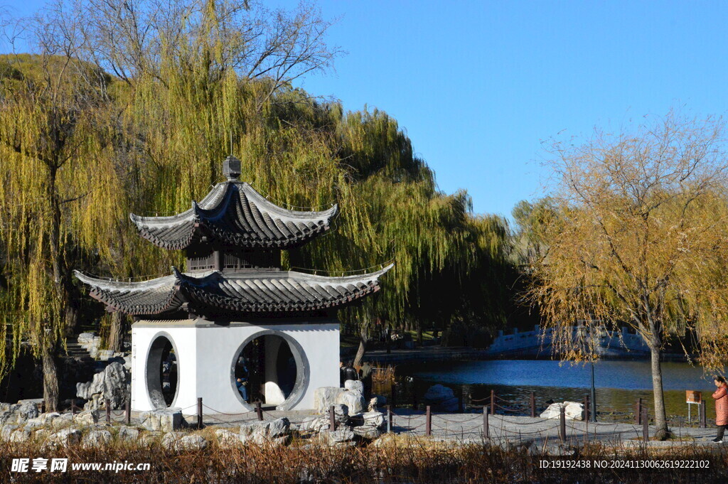 公园风景  