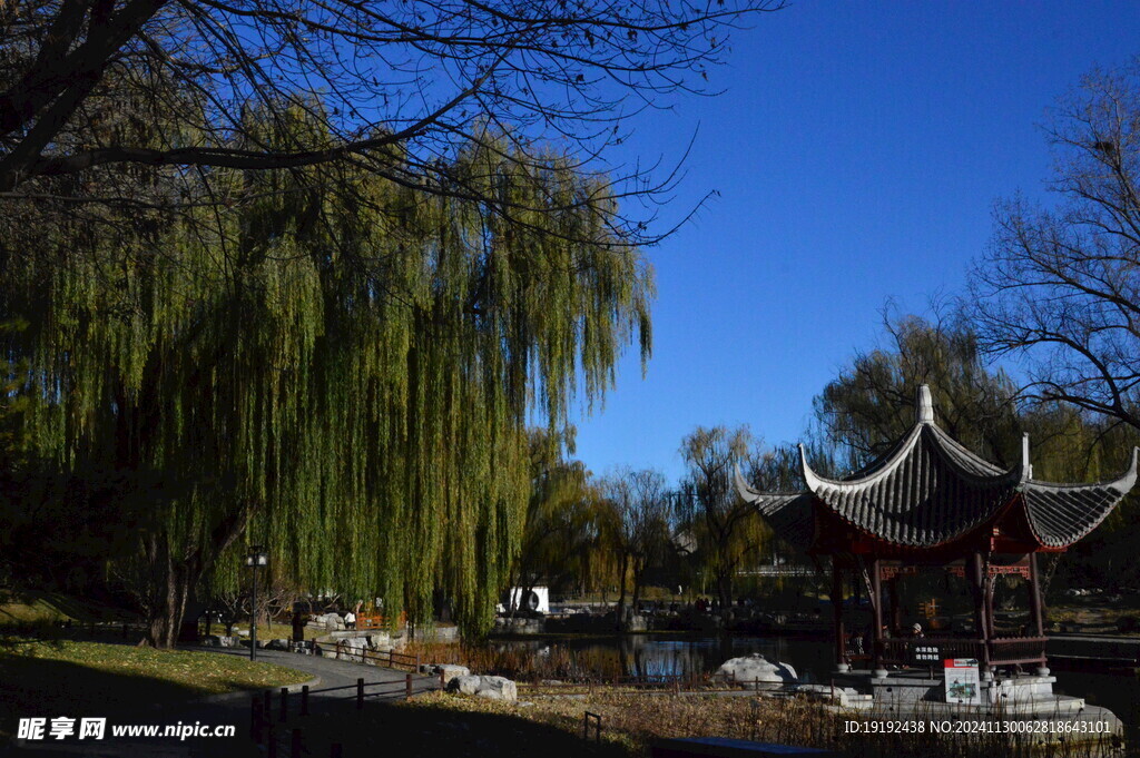 公园风景 