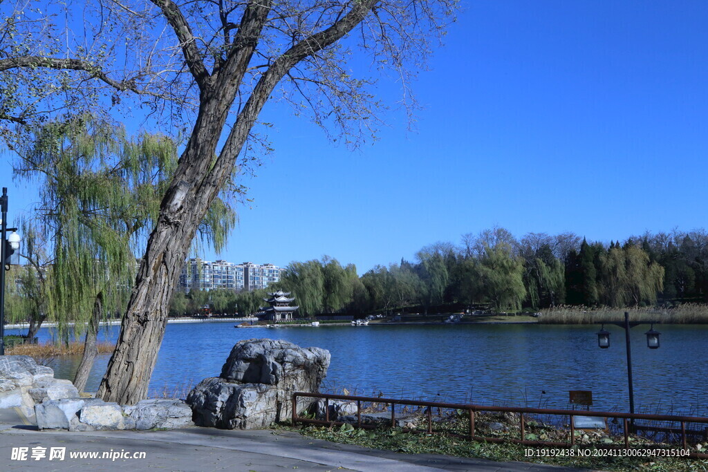 公园风景 