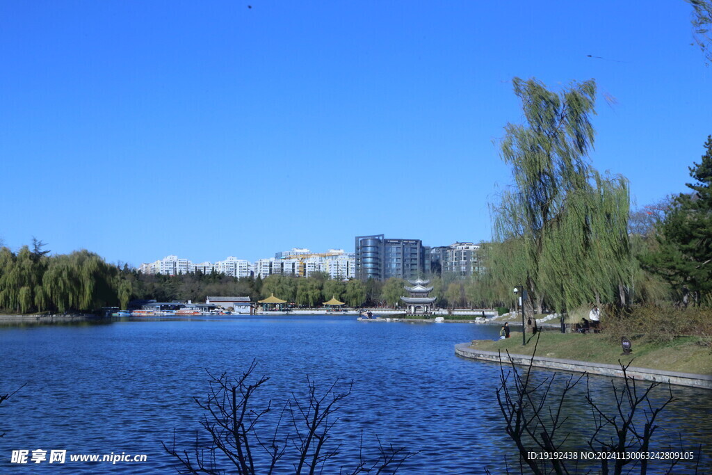 公园风景  