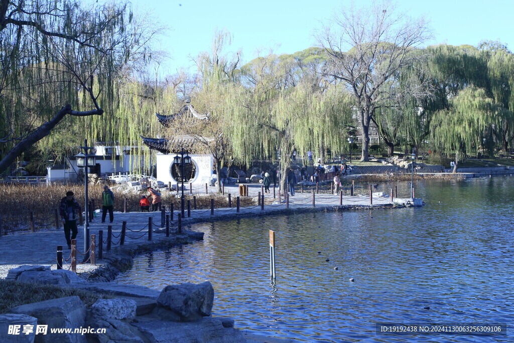 公园风景 