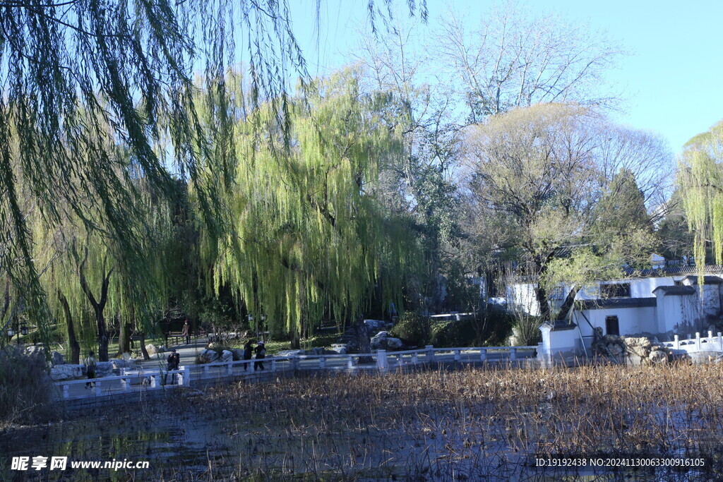 公园风景 