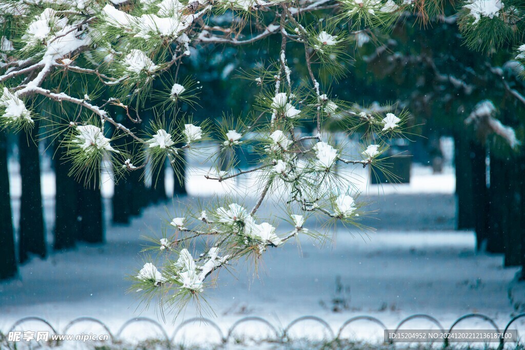 透亮冬季 北京雪景