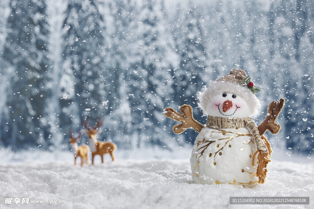 冬季雪景静物可爱雪人