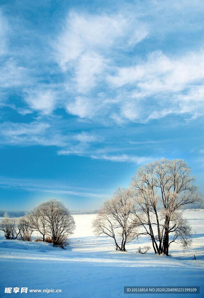 冬景
