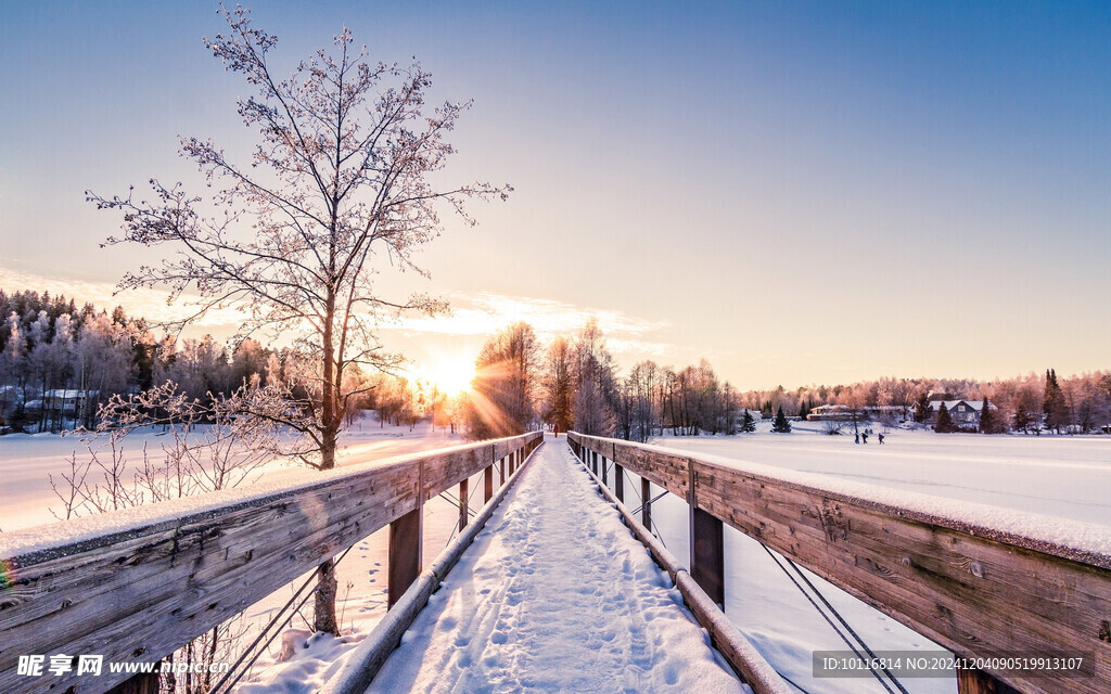 冬天雪景