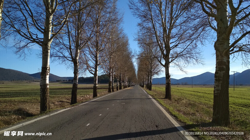 冬季郊区道路