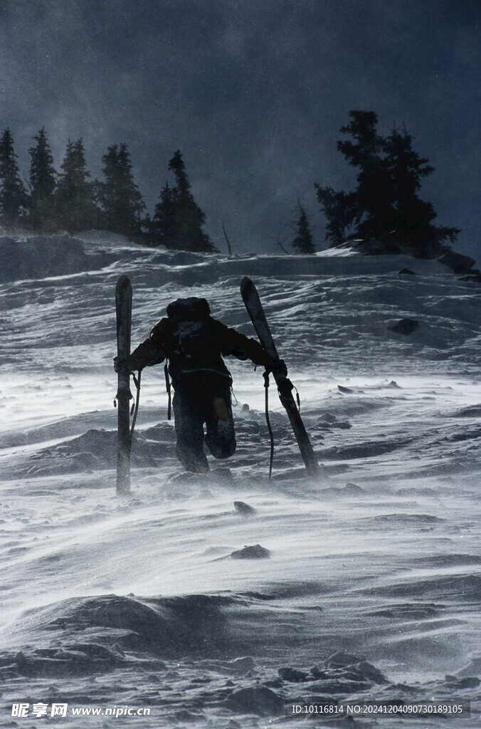 风雪