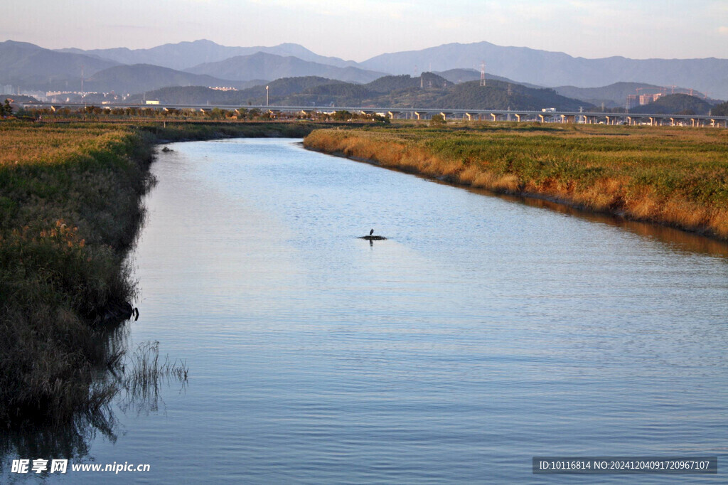 河道