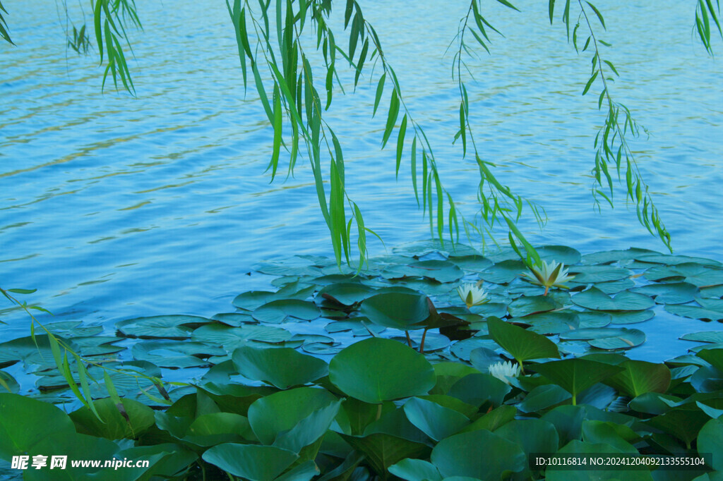 湖边风景