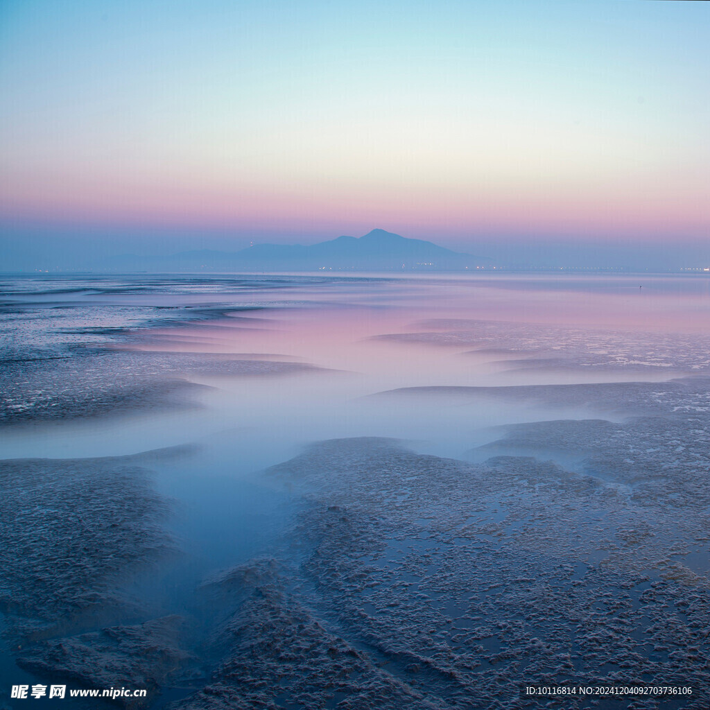 黄昏沼泽湿地