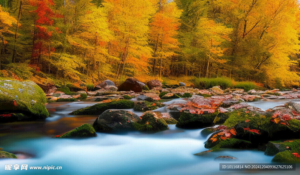 金秋风景