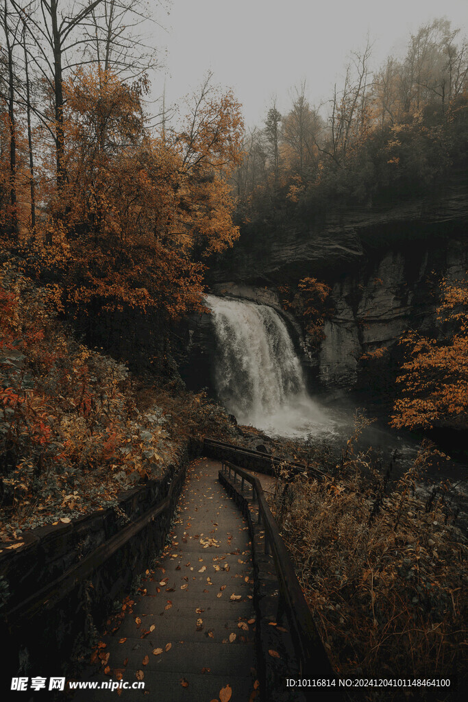 山水落叶秋天风景