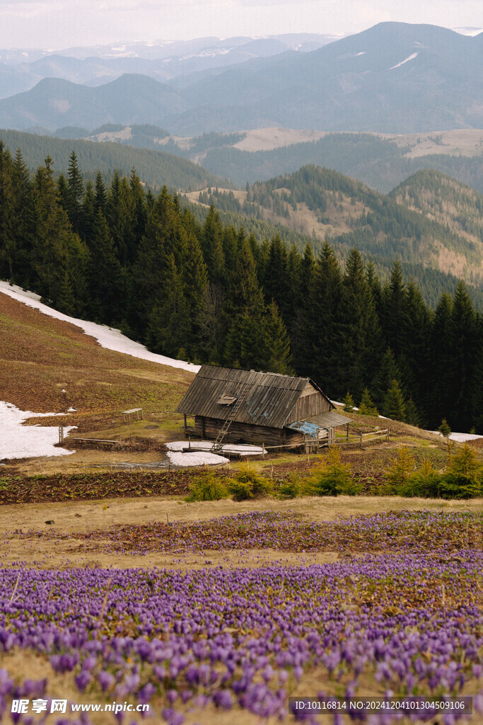 山坡小木屋远山