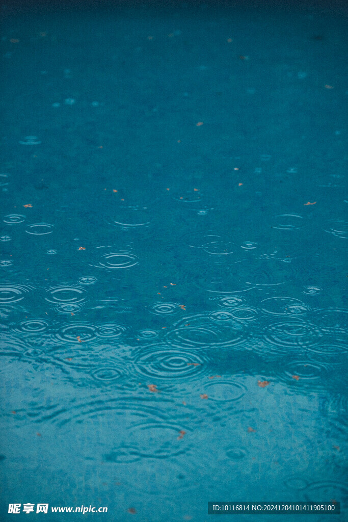 秋雨