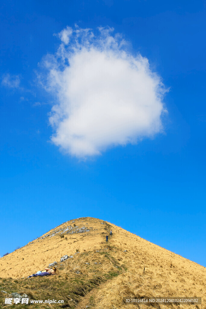山坡
