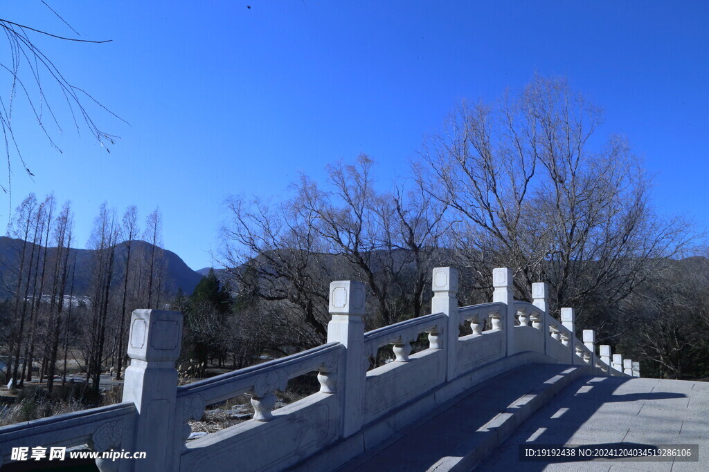 公园风景  