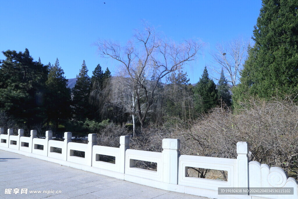公园风景  