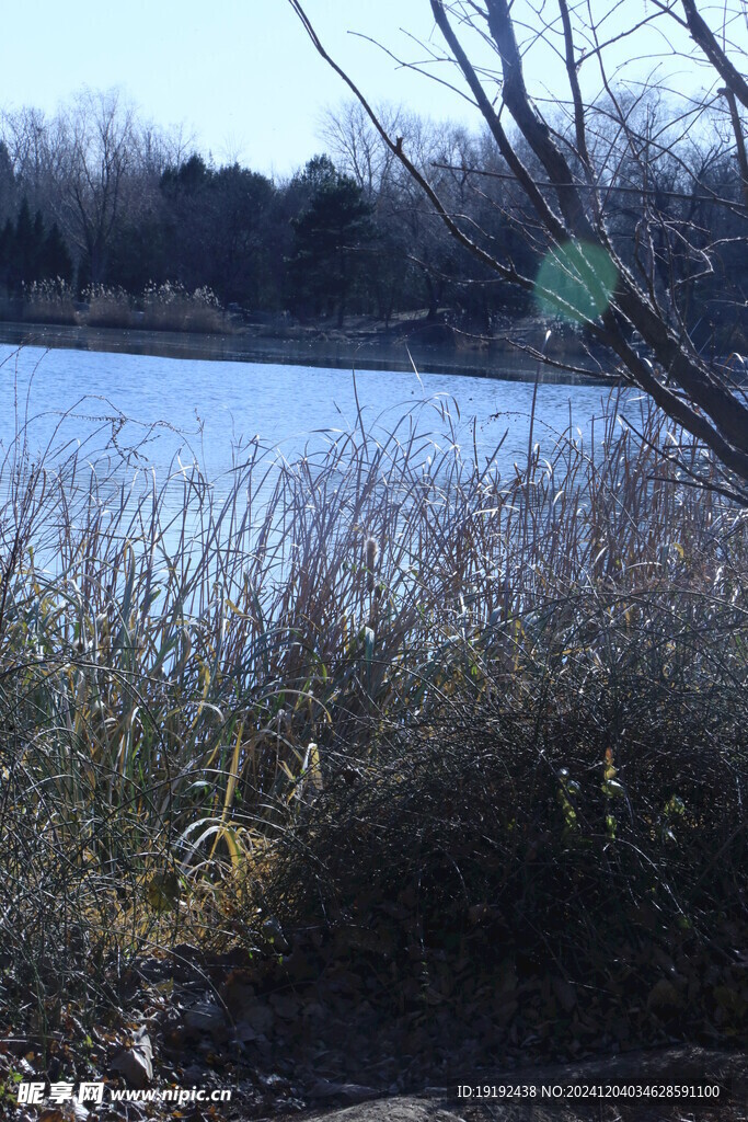 公园风景 