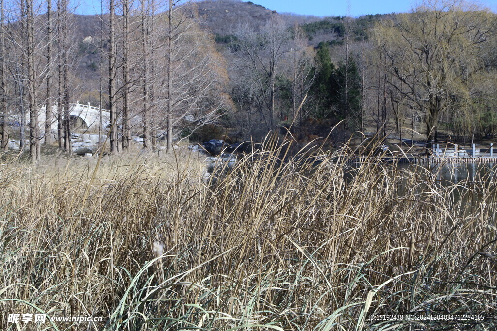 公园风景  