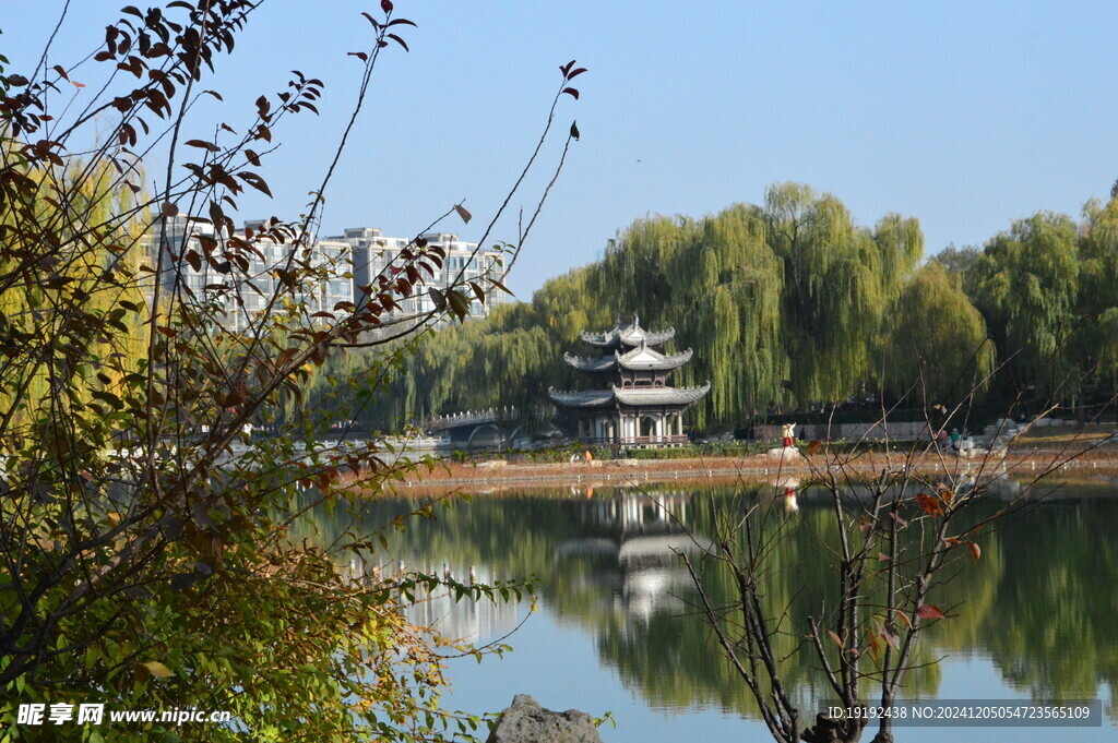 公园风景  