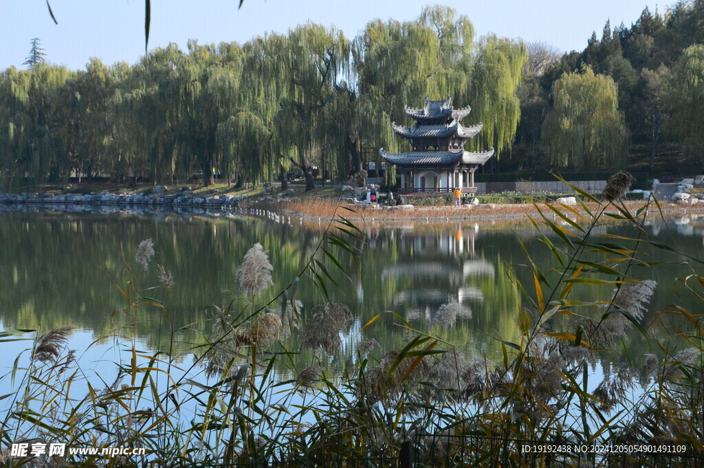 公园风景 