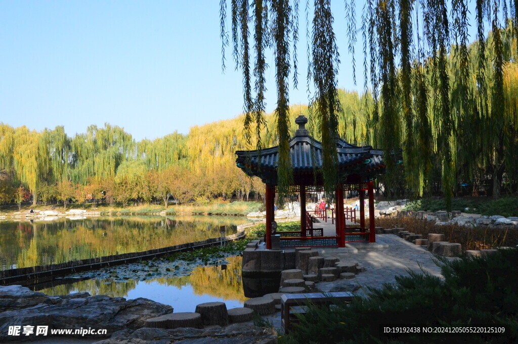 公园风景 