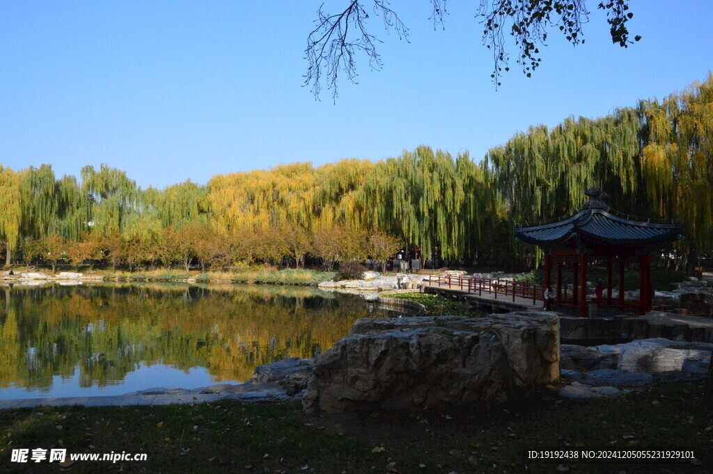 公园风景 