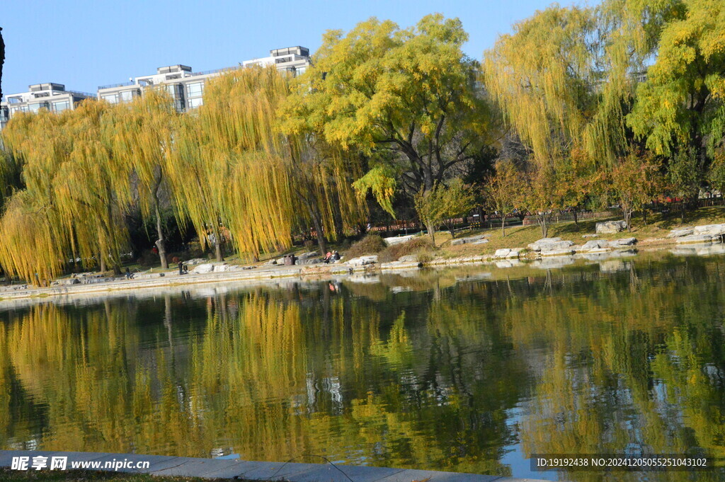 公园风景 