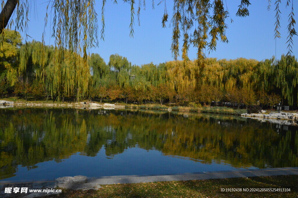公园风景 