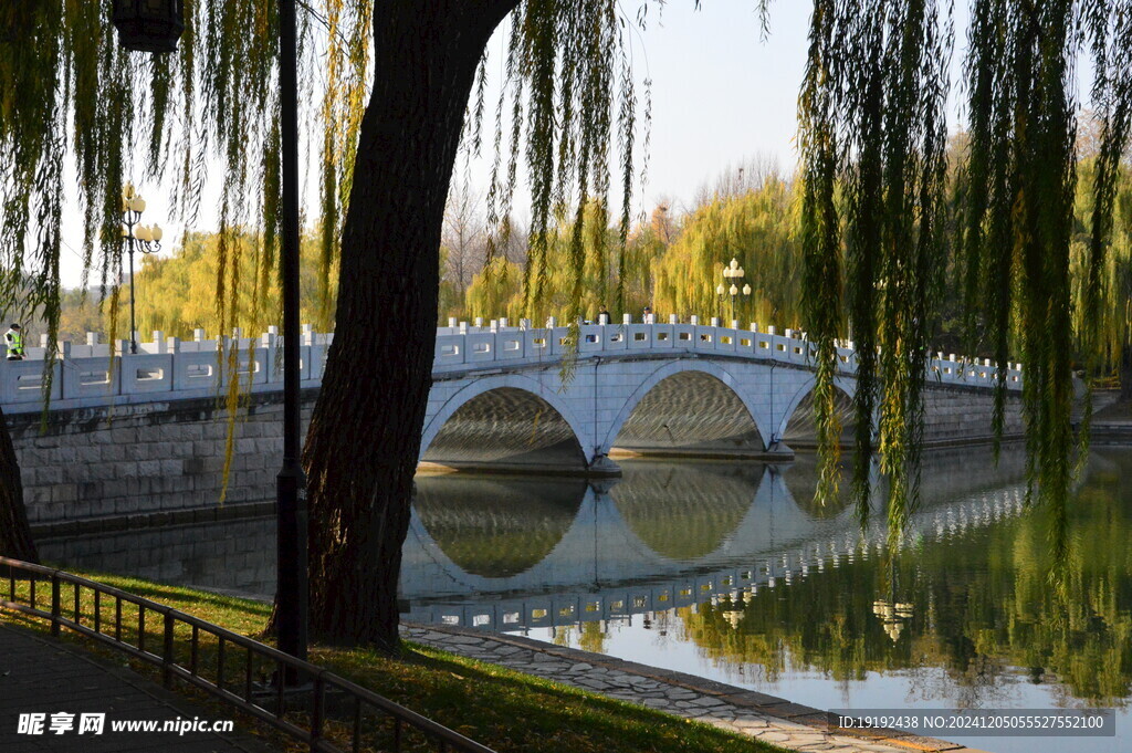公园风景  