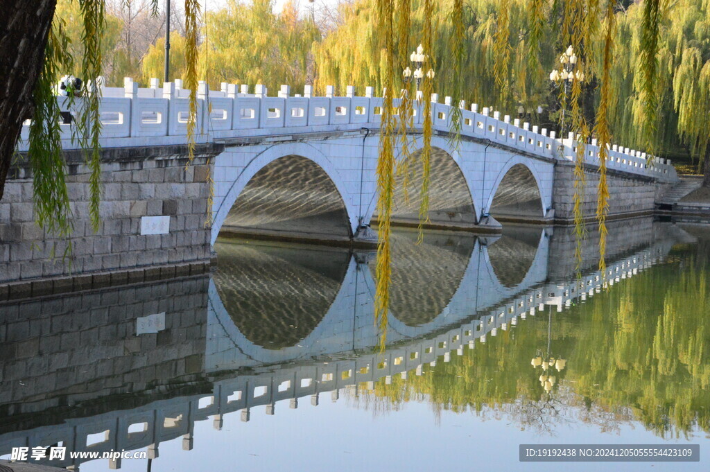 公园风景  