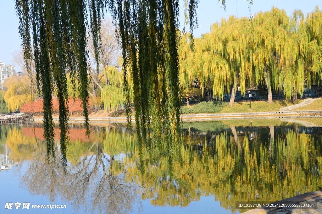 公园风景  