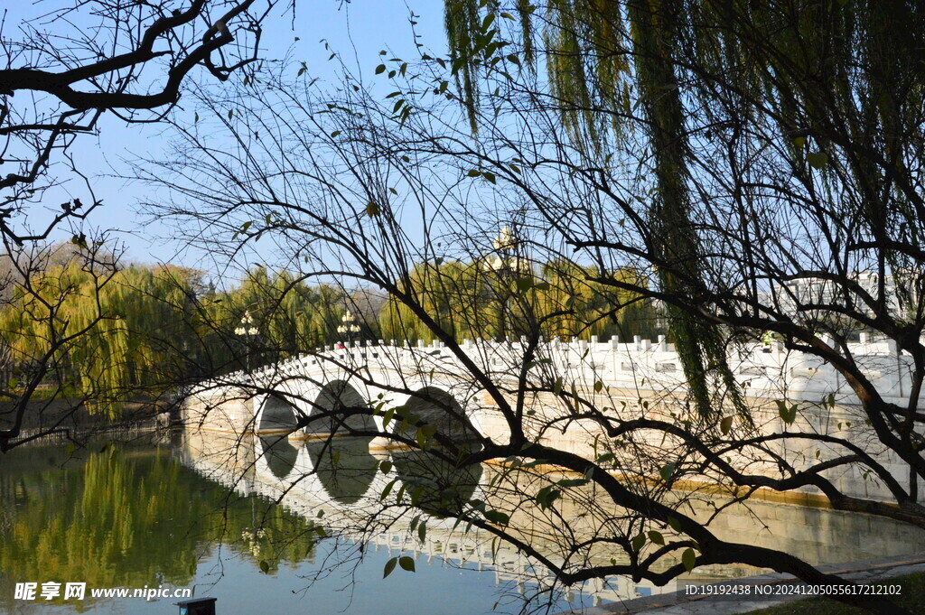 公园风景  