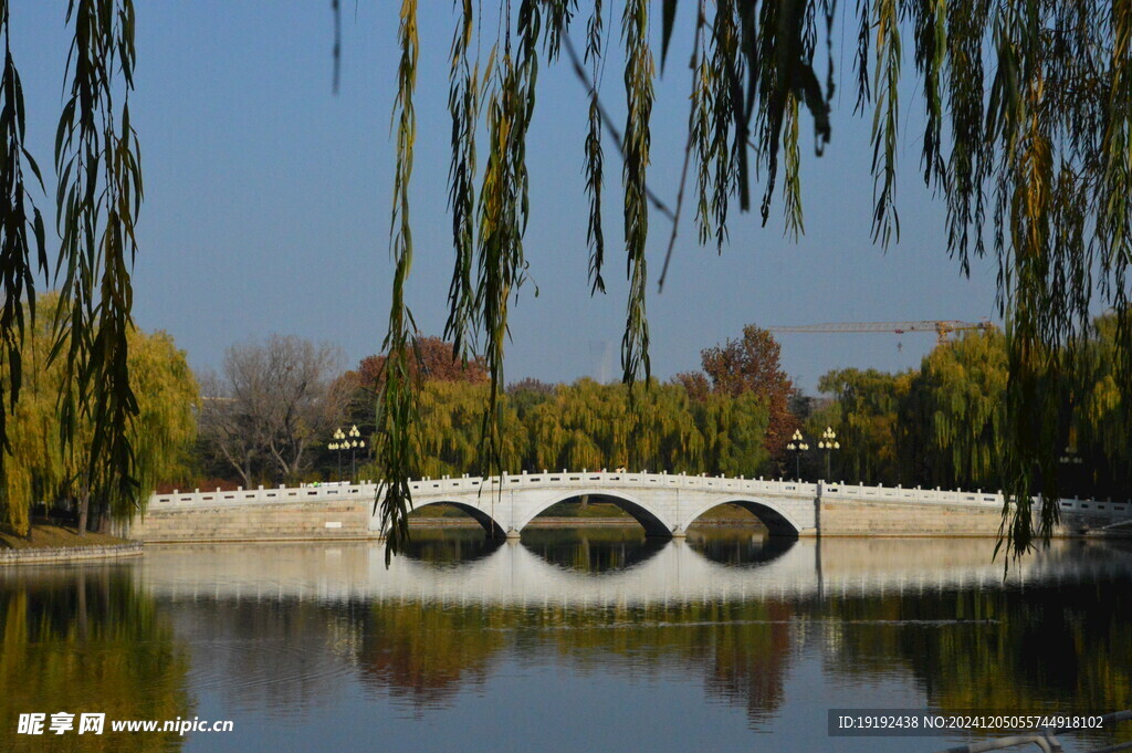 公园风景 