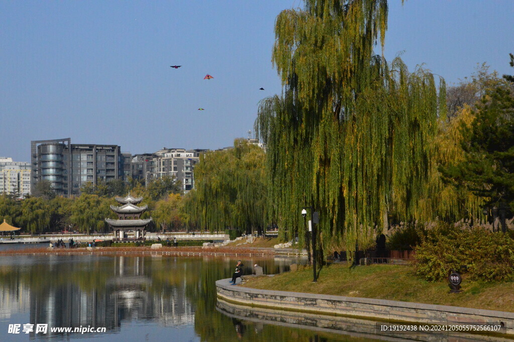 公园风景  